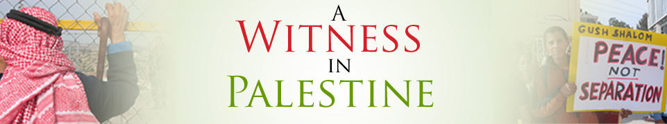 A Witness in Palestine - Anna Baltzer